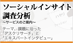 ソーシャルインサイト調査分析のサービス